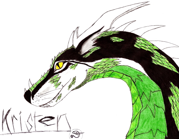 Kristen Wolven Drake - By Kelsey Kwolek
Im gonna start drawing some of my other friends now. This is Kristen, she loves wolves and dragons so I combined one (I love the way the eyes turned out) Also, if you look closely at the scales, theres dark green swirls in em' kinda pretty lookin'
Keywords: Head