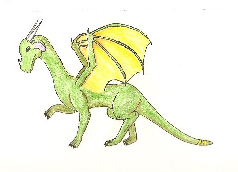 By Dragonness Wyverna
Look what was hiding behind my pencil!
