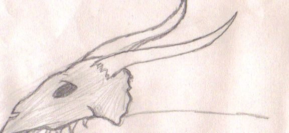 Dragon Skull - By Midnight Dire Wolf
Old pic. Self explanatory (A Dragon's skull done in realism)
Medium: Nothing different, normal pencils
Keywords: Head