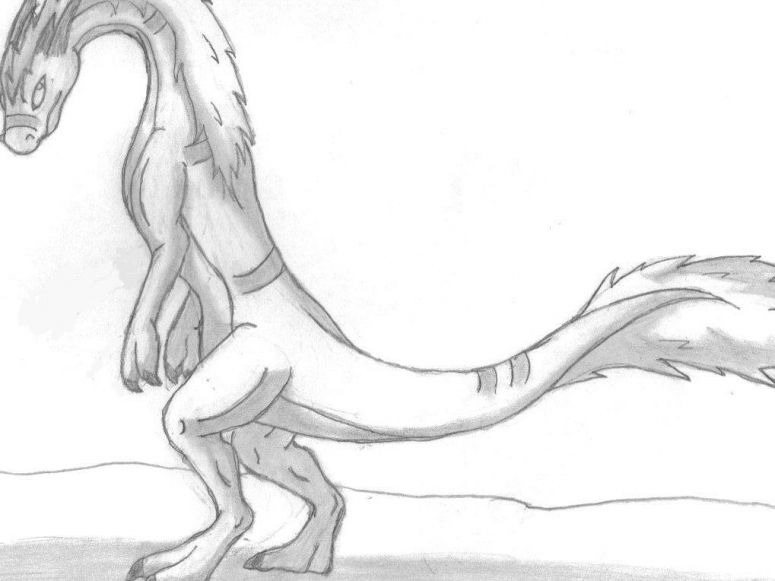 Portrait Aiolos - Midnight Dire Wolf
I must say that I love the position that I drew you in. If you can see I tried to incorporate a horsish/dragon look into this since that's what I drew from the picture you linked to me. I'm sorry if I didn't get the number of toes right(I was doing this from memory) I feel as if this needs a background.  If anyone has any ideas please tell me. Also this is my first time drawing a dragon that doesn't have wings in this position.
