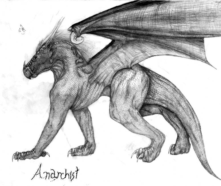 Anarchist - By Makla
I know this isn't anyone from this site.  This is a deviant but i figured i might as well send it in to Dragnix anyway
