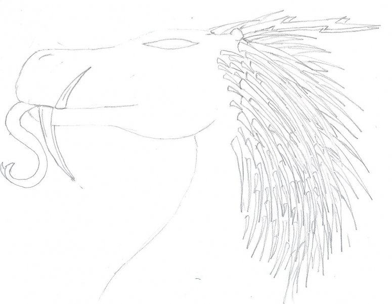 By Kalfiez
This is a rough sketch of the Storm Dragon Dracor, my adoptive father.
Keywords: Head