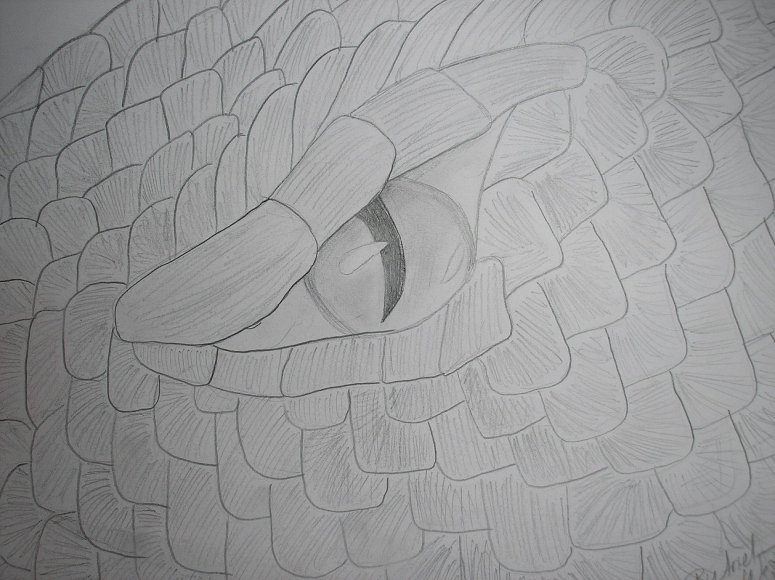 Dragon Eye - By Green Archer of Fury
i kno it ain't all that good. lol.
Keywords: Eye