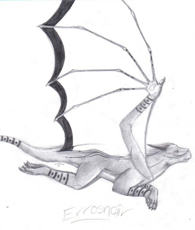 Watchdragon Erosnaiir - By Nyliir
hey guys, I relised that I am hardly ever on Dragnix, Im gonna try and be on here more and comment more and stuffs...:D :D :D...just a piccy to show that im not dead x_x
