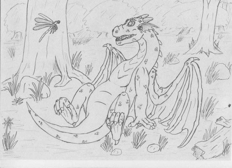 European dragonet - By Nible
