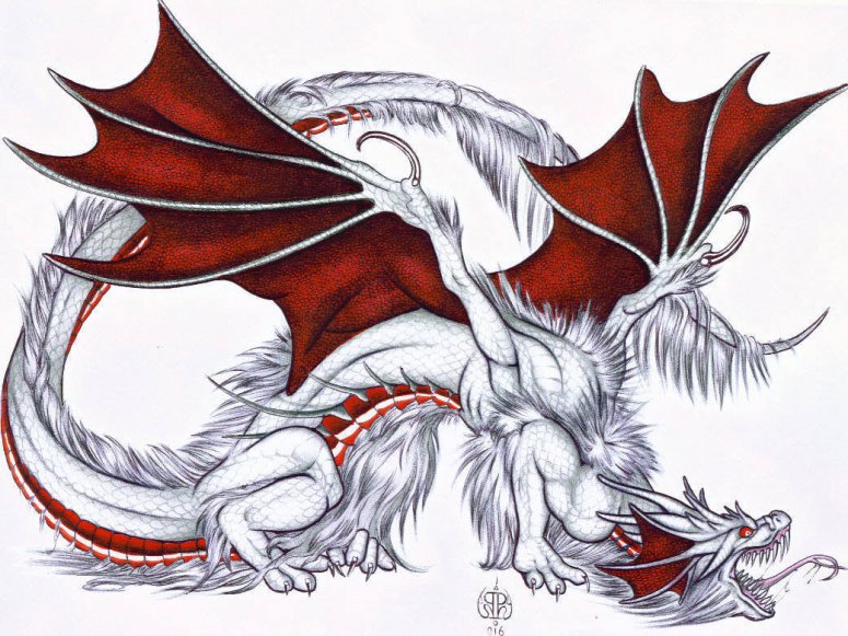 By Raven
