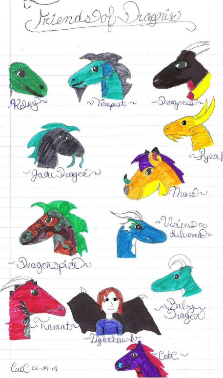 Friends of Dragnix - By CatC
02/29/08
This is a picture I drew of everyone from dragnix. I hope I got everybody, but if i didn't just tell me and I'll put you in another one that i hope to do later on. Also I'm sry if none of the colors are right, because I was drawing this at school from memory. :)
Hope ya like it!

