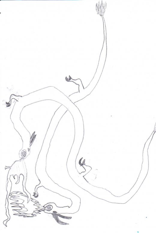 My dragon luna - By dragon lover
