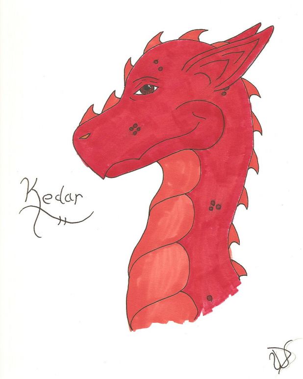 Kedar - By Dragonness Wyverna
Keywords: Head
