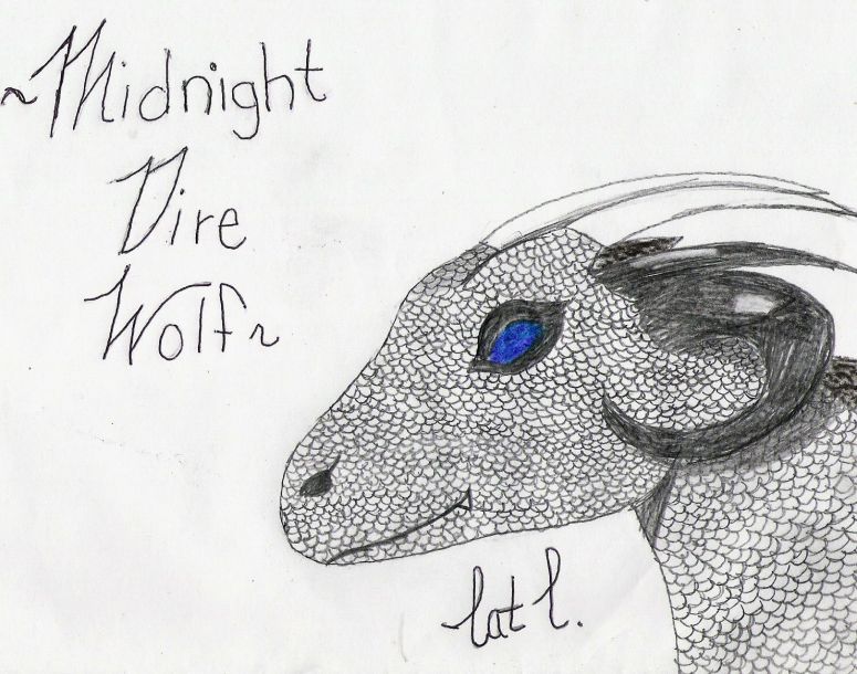 Midnight Dire Wolf's portrait - By CatC
This is the head shot portrait of MDW I did a head shot because for some reason the body wouldn't come out... not sure why so I just stuck with the head :D . I hope y'all like it
Keywords: Head