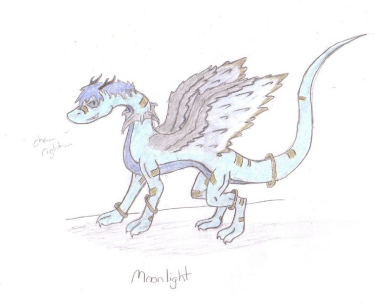 Moonlight - By Midnight Dire Wolf
Okay I know that most people are going to be like " You have these posted on DA!"  I'm just doing this because I feel like it. (And probably because I'm on a working computer that doesn't take five years to load my e-mail)  So, Moonlight was an entry for Silveera's contest. (Which I did not make it XD) Well anyways I took a better look at her feathers and I said to myself. "Those are awful!" (-.-') So, I've been practicing on feathers. I'm not sure what to do with her. I dunno if I should put her in my story or what, because honestly... I have no clue.
