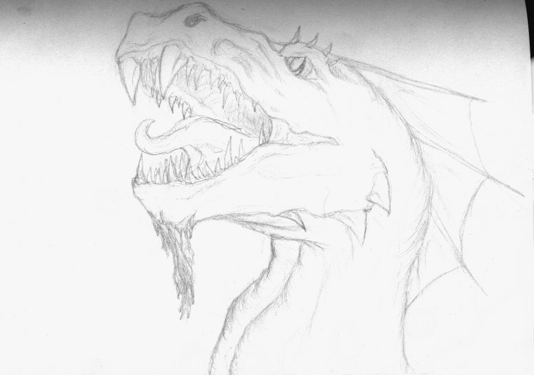 Roar - By Matrim Cauthon
Keywords: Head