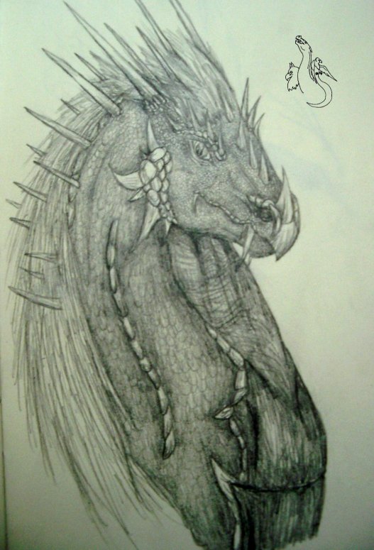 Saphira - By Makla
People were getting tired of my complaints against the dragon on the cover of Eragon.  someone finally just yelled at me, "Then why don't you show us how you see it, for crying out loud?!"  So i did.  Please remember, though, that i'm not saying this is better quality than the dragon on the cover and that it should be replaced with my drawing. i'm not saying that at all.  I'm just showing how i picture Saphira to look.

Keywords: Head