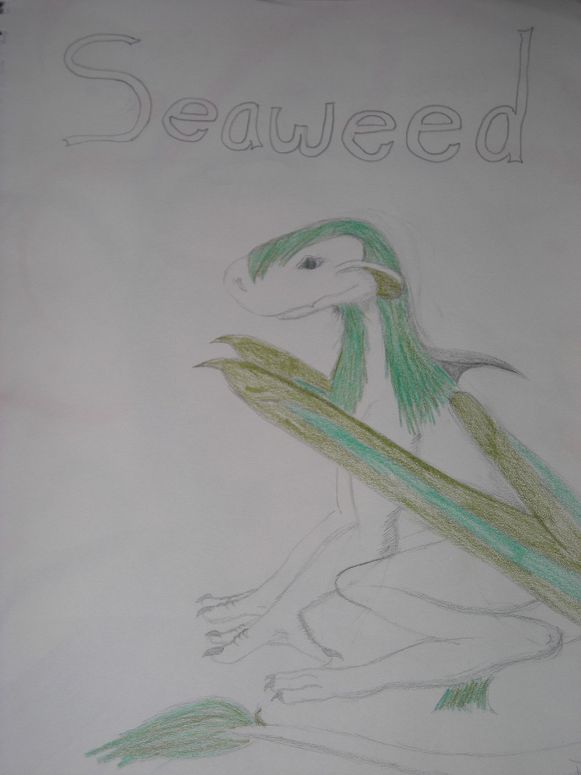 Seaweed - By Dragonness Wyverna
