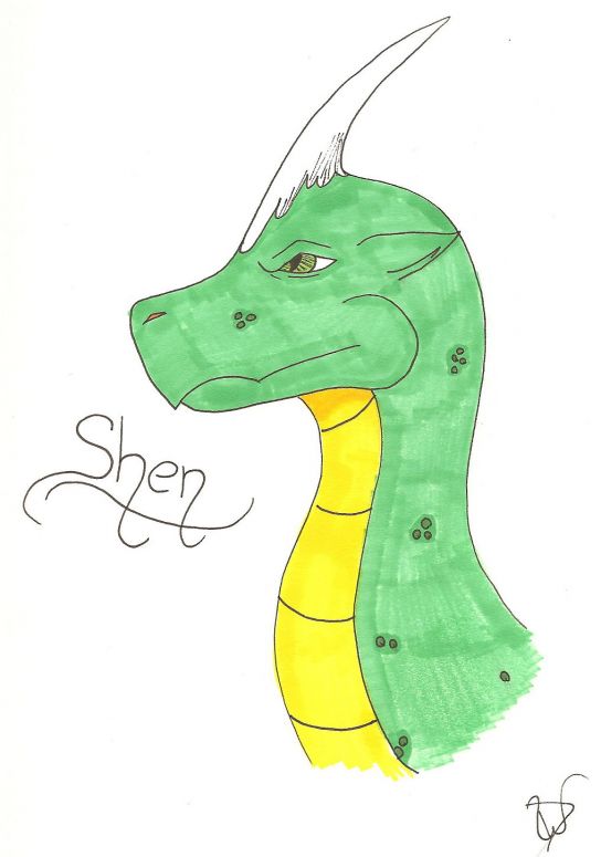 Shen - By Dragonness Wyverna
Keywords: Head