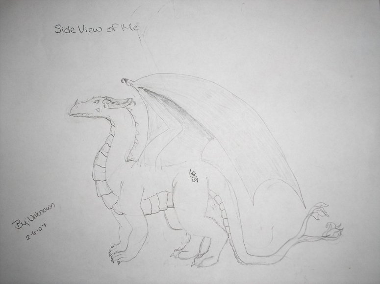 Side view of Unknown - By Unknown
