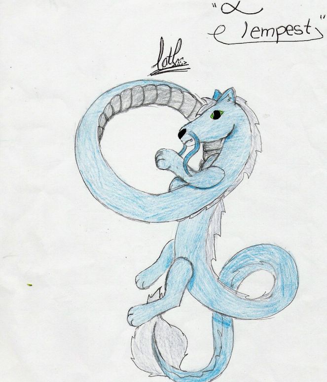 Tempest - By CatC
Heeheehee tempest has offically been "cat"tized xD 
I decided to use similar colors to the colors mentioned before.... Hope ya like it :D and yays i drew feet n.n
