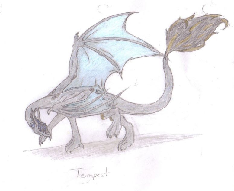 Tempest 2 - By Midnight Dire Wolf
Okay, Tempest, I know that you already commented on this several weeks ago, but I'm posting the updated version here so that it may work it's superiorness on the other picture I drew with the weird squares. (I did try out that tip you gave me, I need to practice alot more though since I can't draw a somewhat straight line what so ever, but thank you for the tip though) I didn't draw you with your flag since I have no idea how much you want to be seen with it. I did do the blending of the colors myself (since my scanner seems to be too perfect to blend colors)
