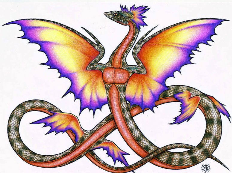 By Raven
