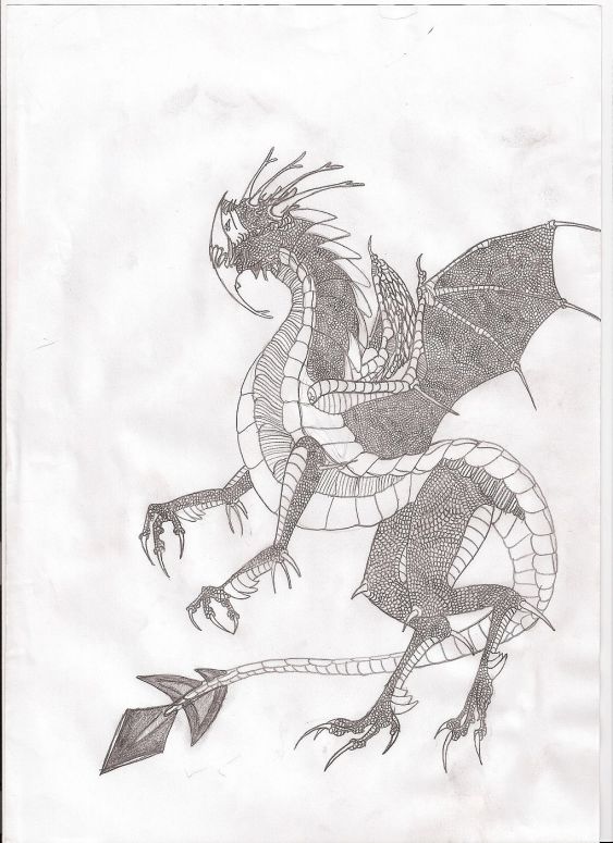 Alien Dragon - By Silveera
It’s not finished yet, I have to colour it in.
