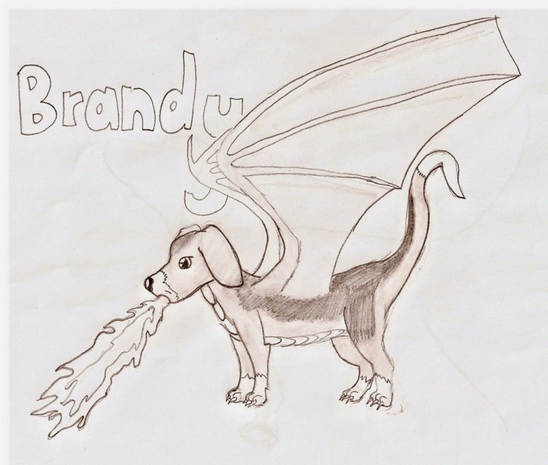 Brandy - By babydrgn
This my dog Brandy as part dragon!
