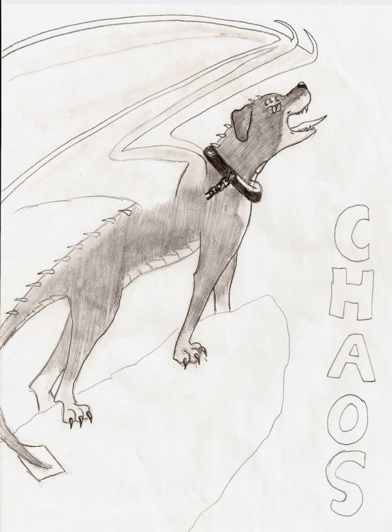 Chaos - By babydrgn
This is my dog Chaos as part dragon!!
