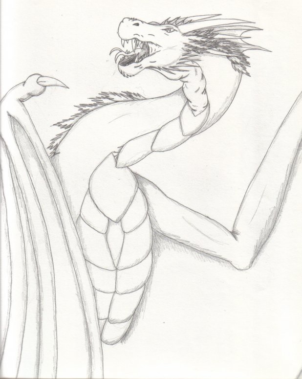 By Sova D. Nagi
