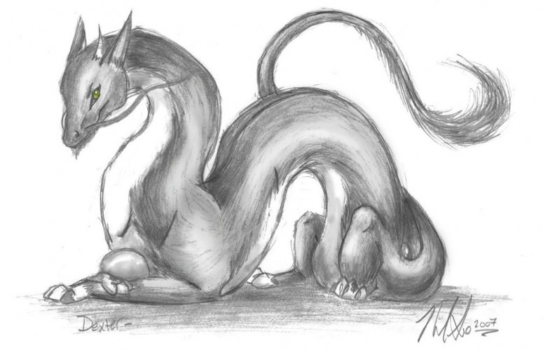 Dexter - By Aiolos
My cat is a dragon. 'twas colored under in Photoshop, but nothing too dramatic.
