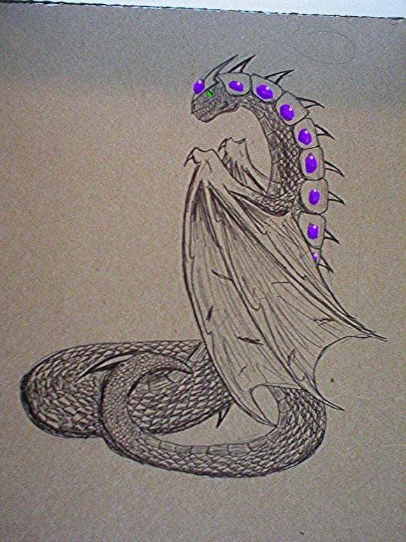 Snake Dragon - By Dragonfire
In pen.

