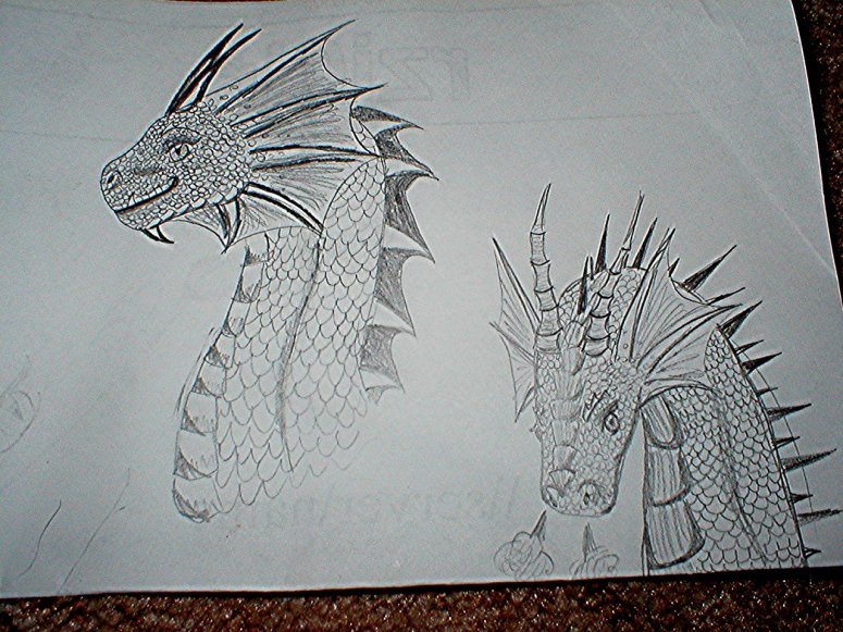 By Dragonfire
