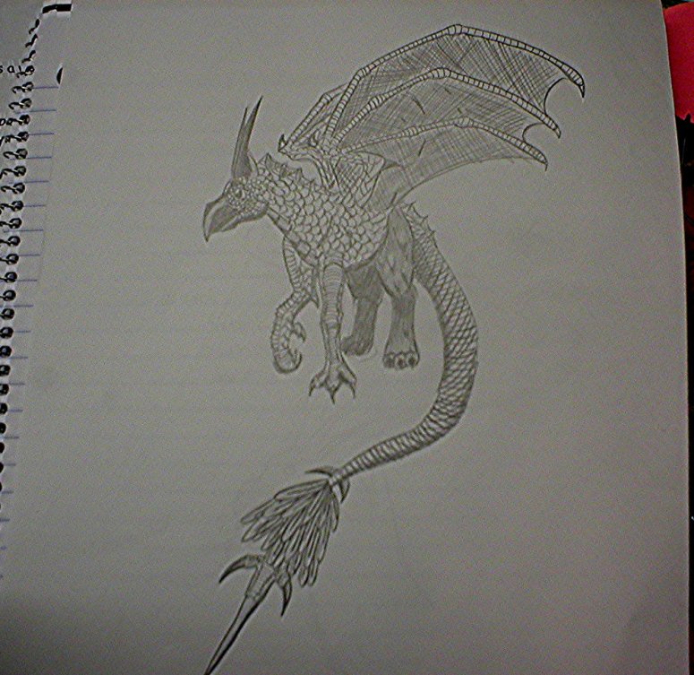 By Dragonfire
Wee! A griffon-dragon-hybrid thing!
