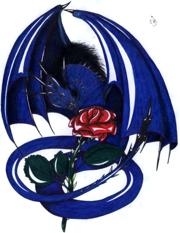 Dragon Rose - By Makla
