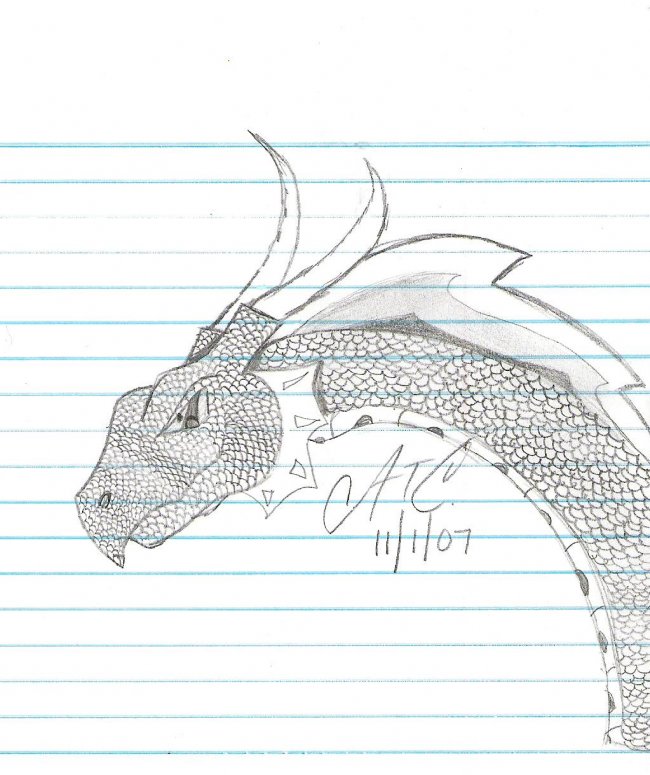 Dragon Sketch - By CatC
11/01/07
This is a sketch tht i did to practice scales on. It them turned out to be really cool! Hope you like it! :)
Keywords: Head
