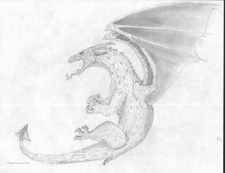 By Dragon Tamer

