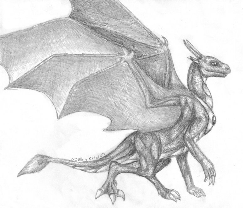 Dragonness - By Delbin
I finally drew you Dragonness!
You're the first full-body picture I was able to do for over a month! Hope you like it!
