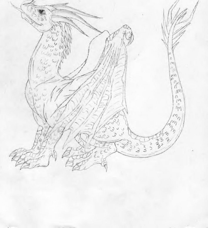 Look to the Skies - By Fireheart
A young dragon peers upward at the sky, seeking answers. He smiles. Of course, there are no answers to be found among the clouds.
