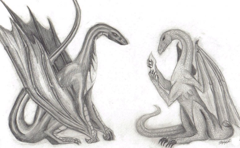 The removal - By Shygirl
