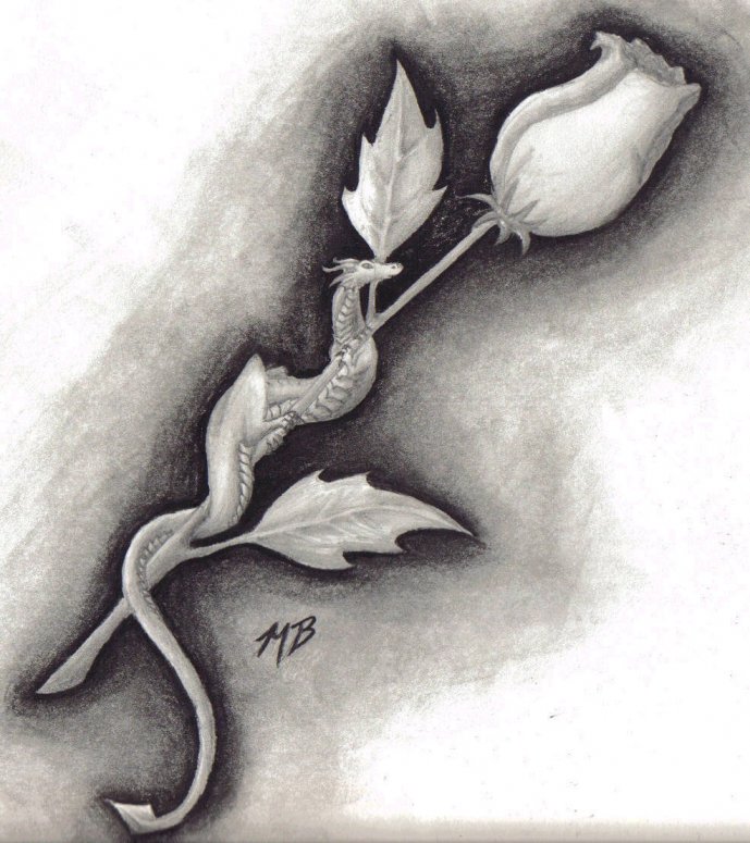 Rose - By shygirl
