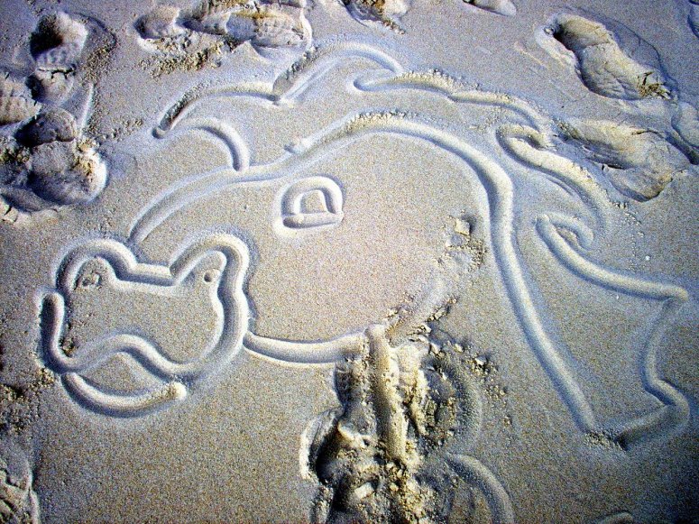 Sand Dragon - By CatC.
11/17/07
This was drawn in sand and was actually kinda difficult to do with the wind blowing, so it's not very detailed. I thought this was something different to send in. Hope you like it!
Keywords: Head