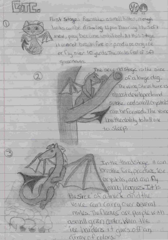 By CatC
Here ya go Dspice! this is the thing for the you-know-what ;)..... lol.... well the color is purple scales and lime green eyes. The marking on the chest is red (on the 2nd and 3rd stage) I like the one in the center the best.. Didn't have any markers to color it with though....."

