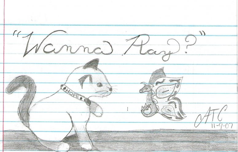 Wanna Play? - CatC
11/9/07
I wanted to do a pic with a cat in it, so this is my vat Hope when she was a kitten and she used to love
watching butterflies, so i made a butterfly dragon.
Hope ya like it!
