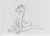 Filename=Asian_Dragonet.jpg
Filesize=170KiB
Dimensions=1755x1275
Date added=Oct 22, 2007 Asian_Dragonet.jpg