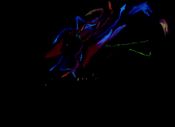 Filename=Darkness_002.jpg
Filesize=119KiB
Dimensions=1169x850
Date added=Jun 10, 2007 Darkness_002.jpg