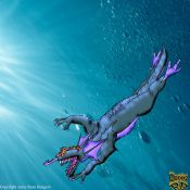 Filename=Dive_of_the_Water_King.jpg
Filesize=265KiB
Dimensions=875x875
Date added=Jul 15, 2005 Dive_of_the_Water_King.jpg