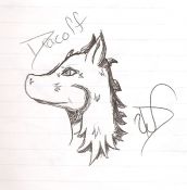 Filename=Dracolf_Patrick.jpg
Filesize=70KiB
Dimensions=664x672
Date added=Aug 20, 2007 Dracolf_Patrick.jpg