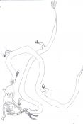 Filename=JoeysDragon_2.jpg
Filesize=127KiB
Dimensions=1122x1671
Date added=Apr 15, 2007 JoeysDragon_2.jpg
