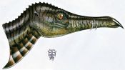 Filename=Knatternock_s_Mewling.jpg
Filesize=123KiB
Dimensions=1113x627
Date added=Jun 24, 2007 Knatternock_s_Mewling.jpg