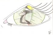 Filename=Look_Through_My_Eyes.jpg
Filesize=227KiB
Dimensions=1503x1011
Date added=Mar 17, 2008 Look_Through_My_Eyes.jpg