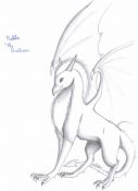 Filename=Makla_shaded.JPG
Filesize=20KiB
Dimensions=436x600
Date added=Jun 06, 2006 Makla_shaded.JPG