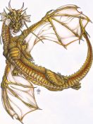 Filename=Raven8dragon.jpg
Filesize=211KiB
Dimensions=806x1064
Date added=Aug 20, 2006 Raven8dragon.jpg